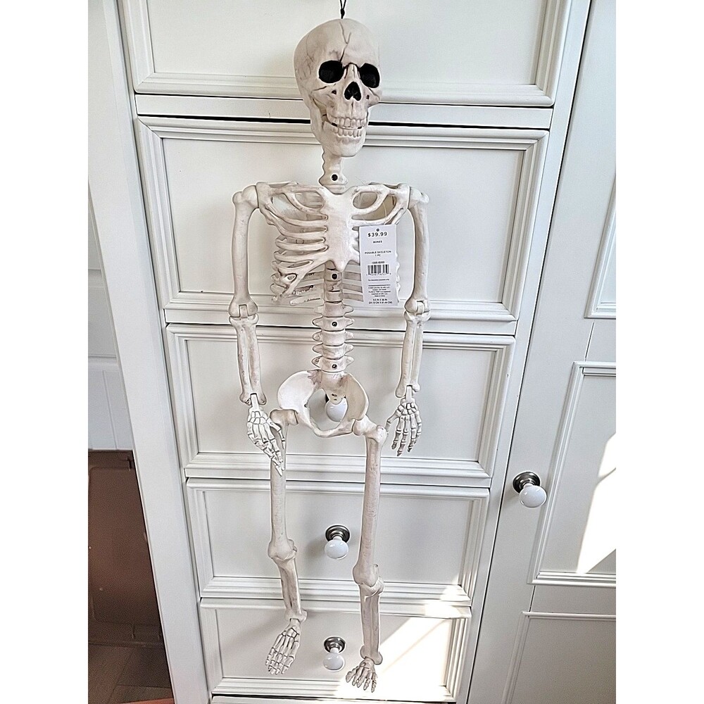 Place & Time 36" Tall Skeleton Posable Halloween Day of the Dead New W tags